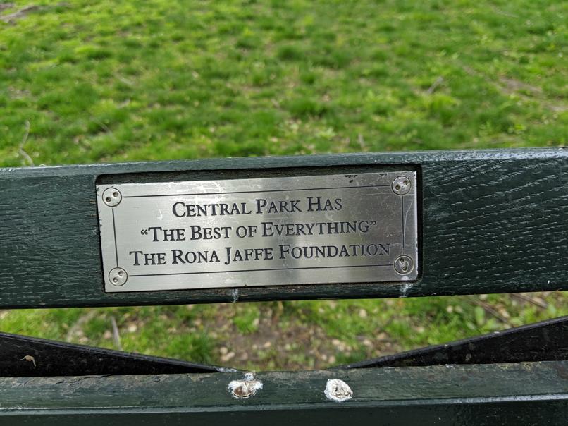 I saw this bench in Central Park