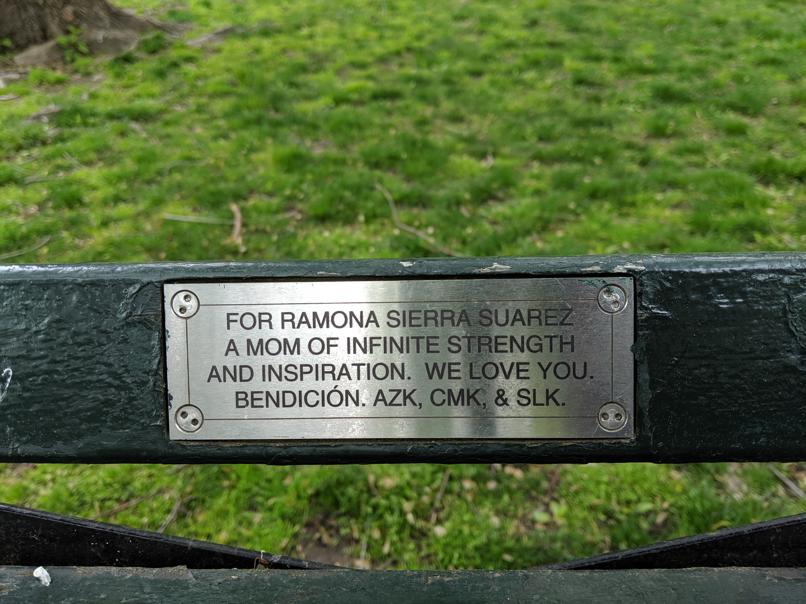 I saw this bench in Central Park