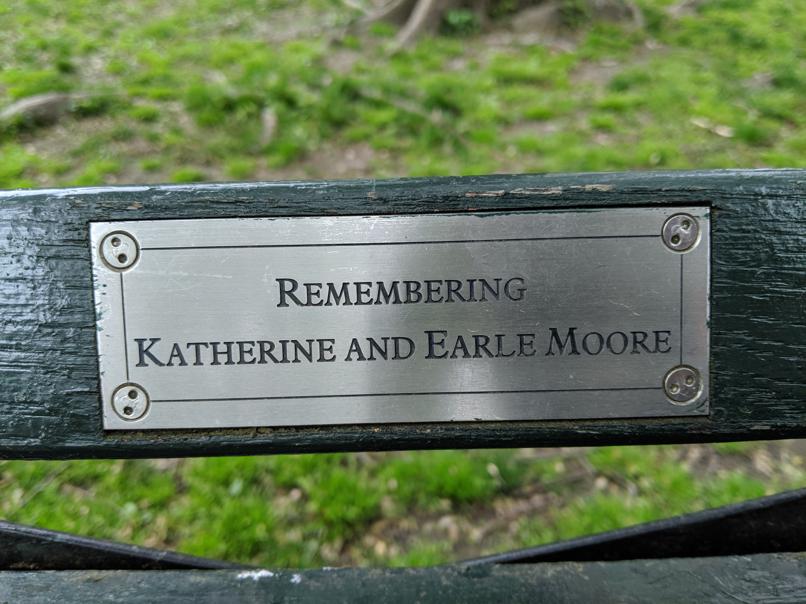 I saw this bench in Central Park