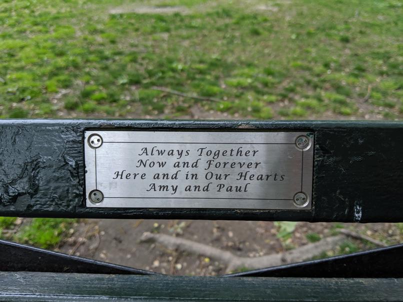 I saw this bench in Central Park