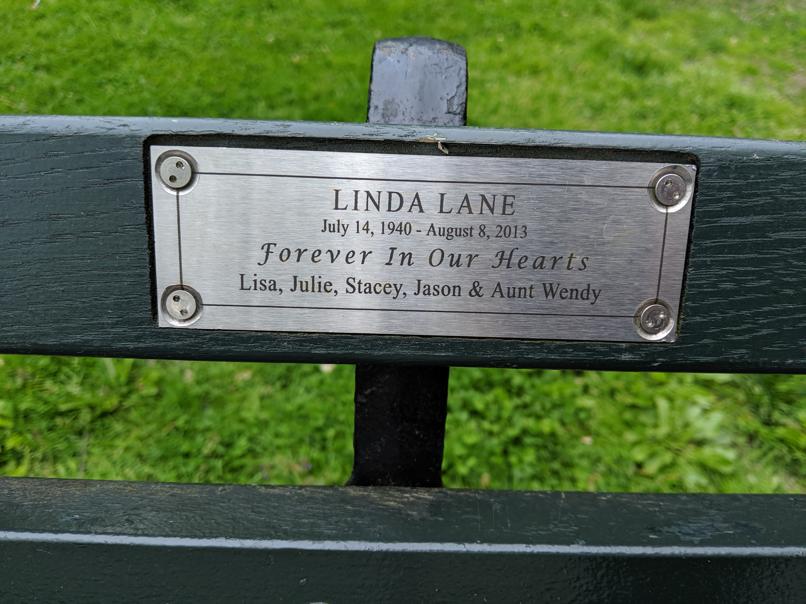 I saw this bench in Central Park