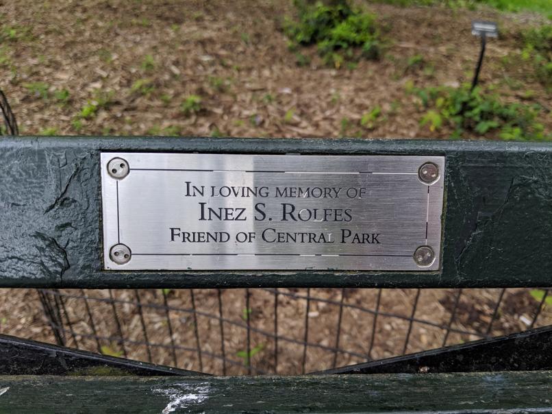 I saw this bench in Central Park