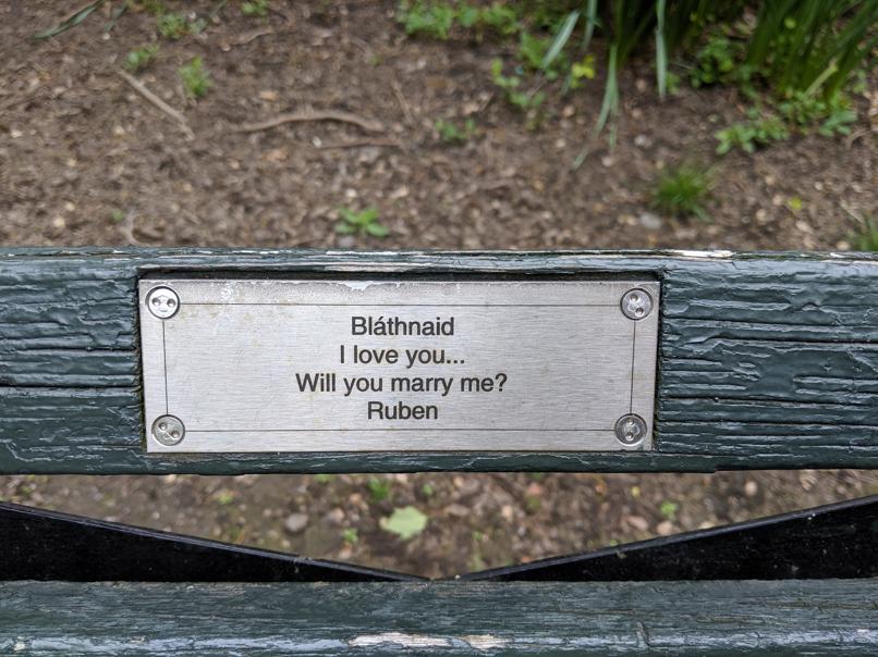 I saw this bench in Central Park