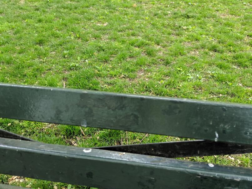 I saw this bench in Central Park