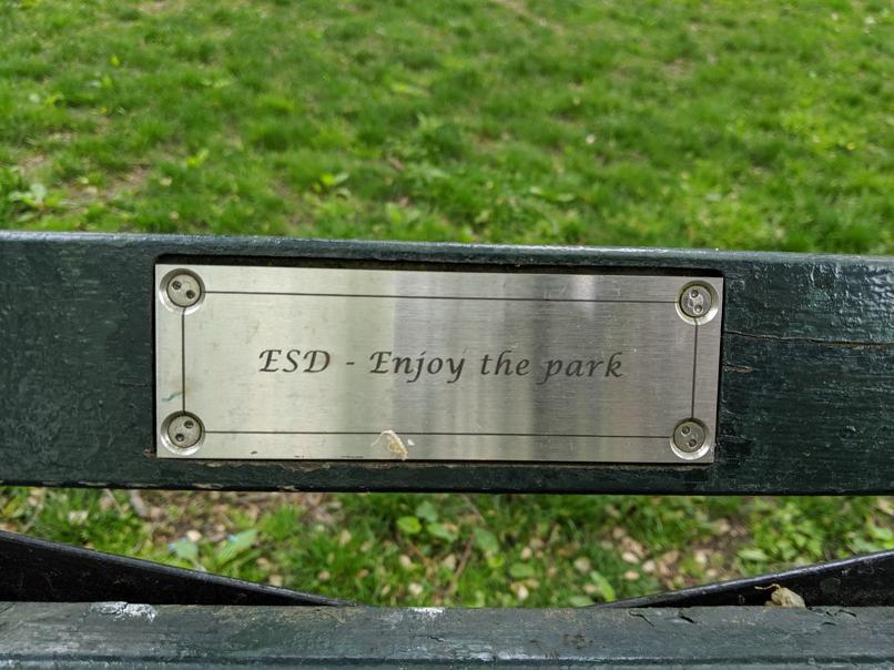 I saw this bench in Central Park