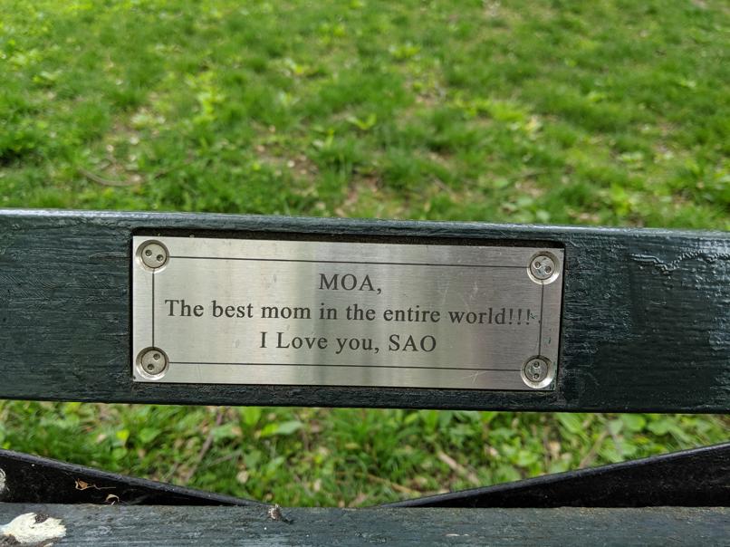 I saw this bench in Central Park