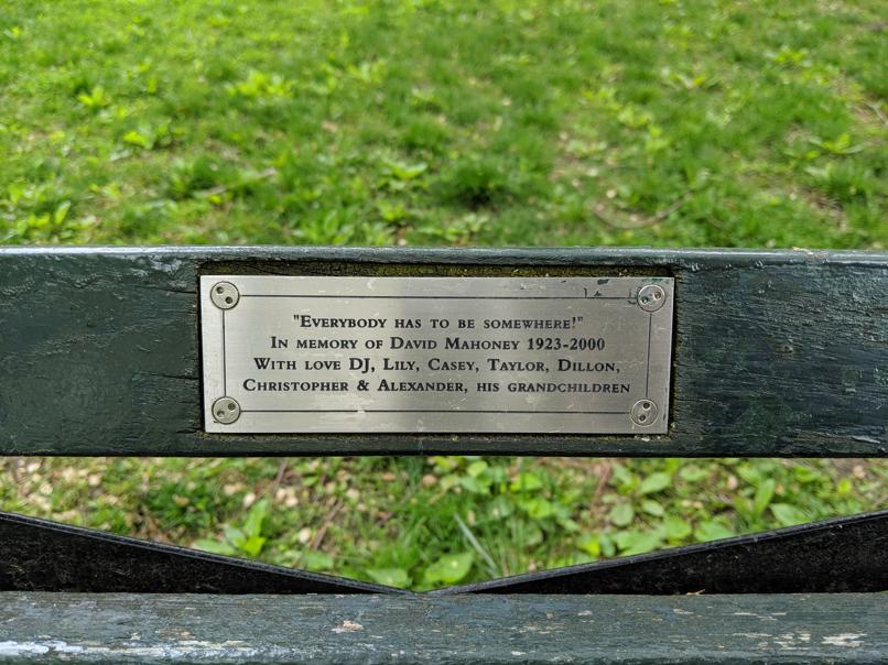 I saw this bench in Central Park