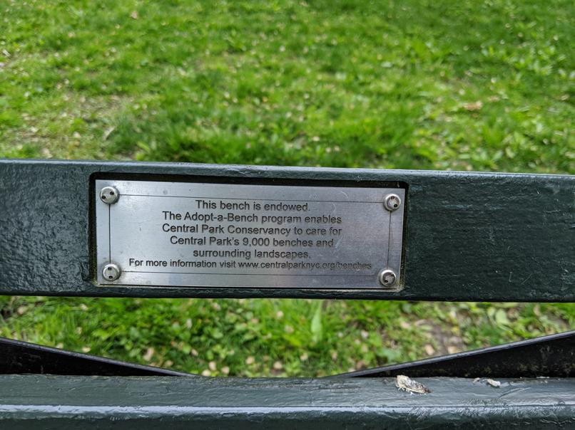 I saw this bench in Central Park