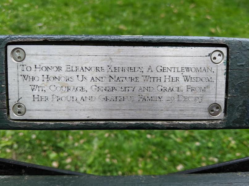 I saw this bench in Central Park