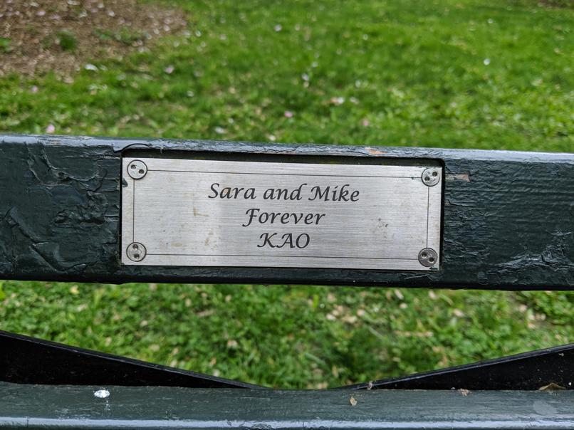 I saw this bench in Central Park