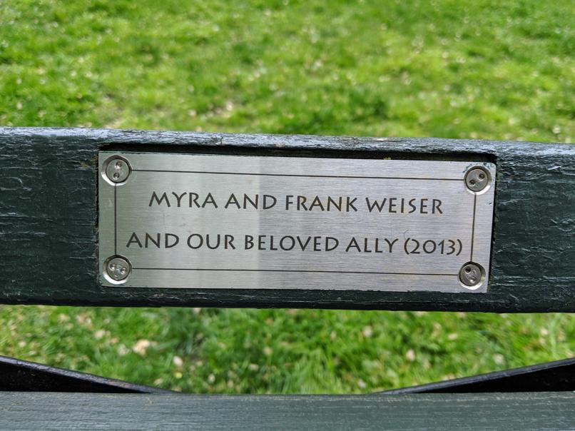 I saw this bench in Central Park