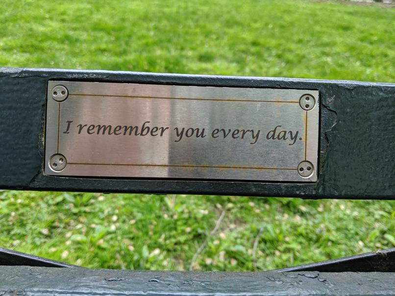 I saw this bench in Central Park