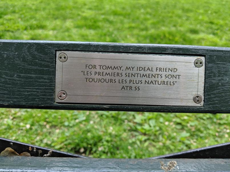 I saw this bench in Central Park