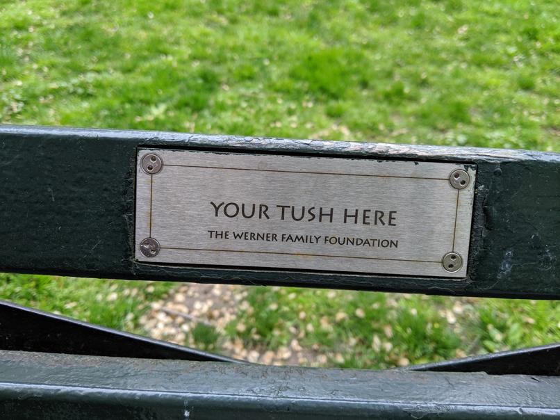 I saw this bench in Central Park