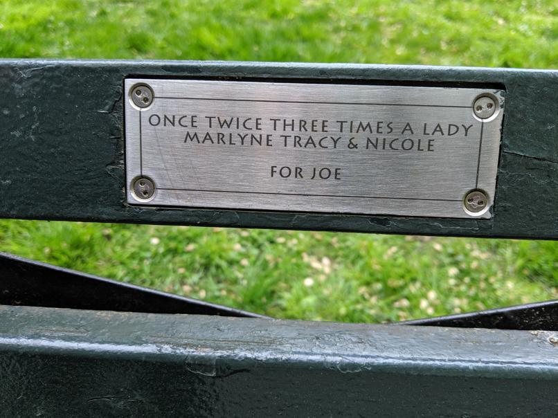 I saw this bench in Central Park