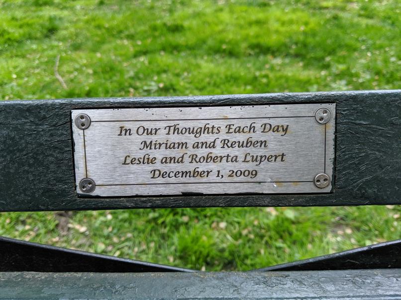 I saw this bench in Central Park