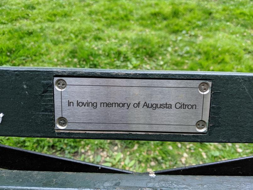 I saw this bench in Central Park