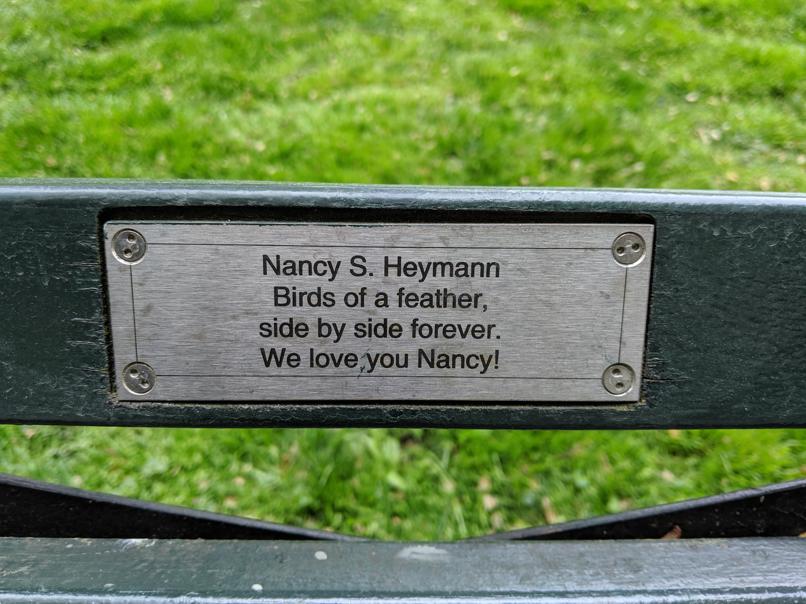 I saw this bench in Central Park