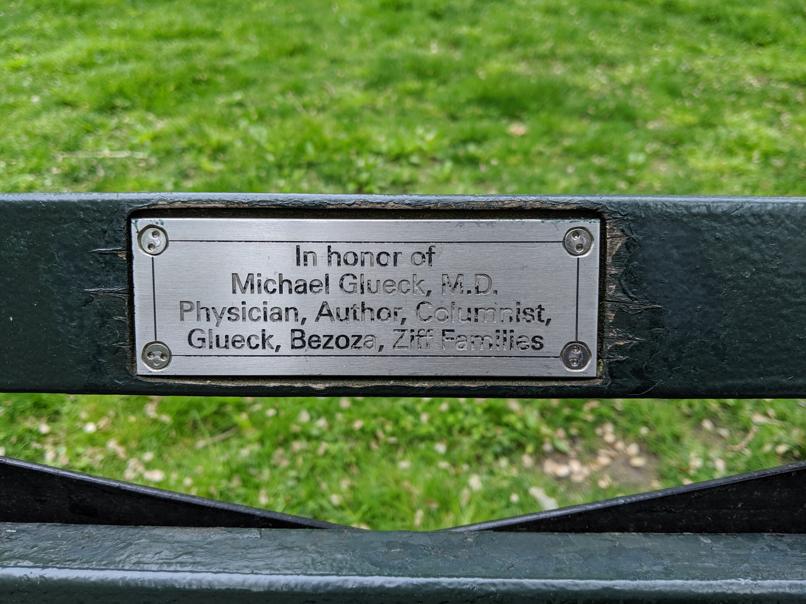 I saw this bench in Central Park