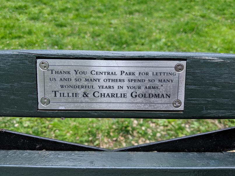 I saw this bench in Central Park