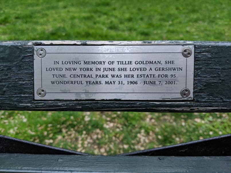 I saw this bench in Central Park