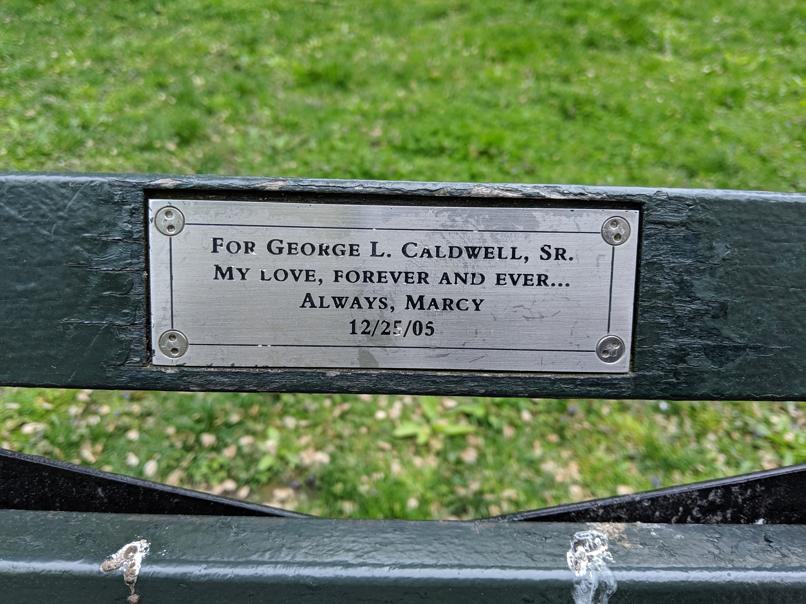 I saw this bench in Central Park