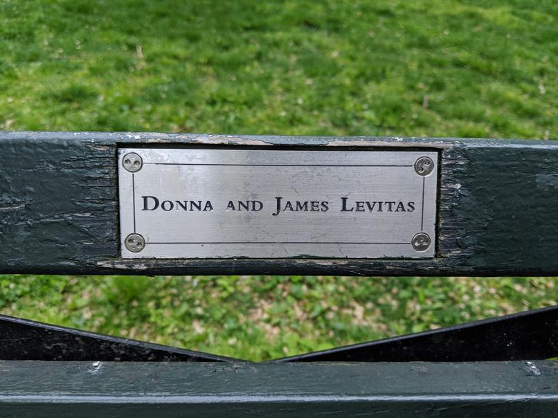 I saw this bench in Central Park