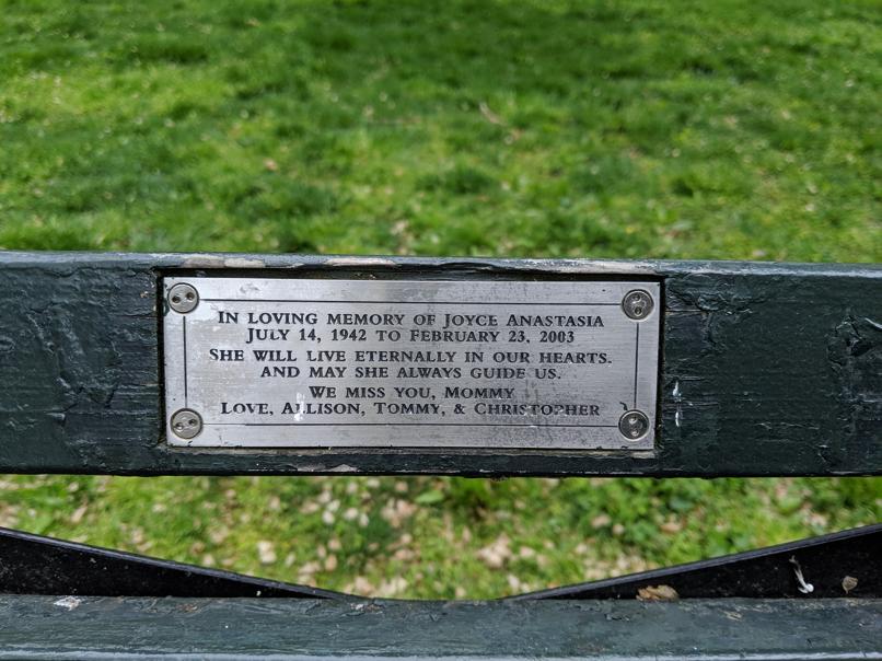 I saw this bench in Central Park