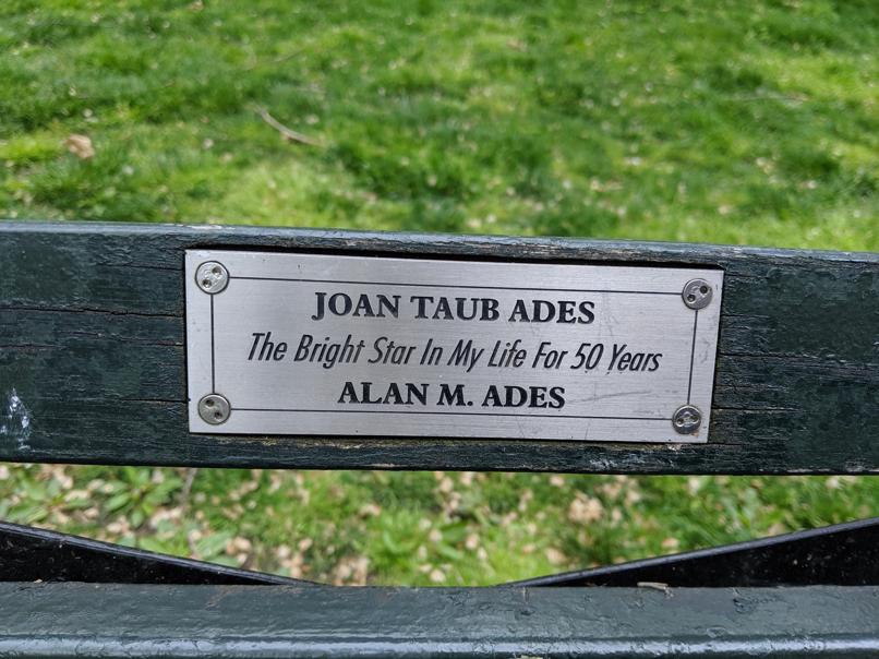 I saw this bench in Central Park