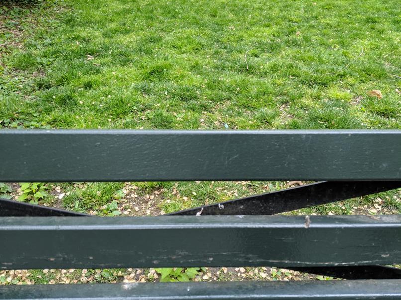 I saw this bench in Central Park