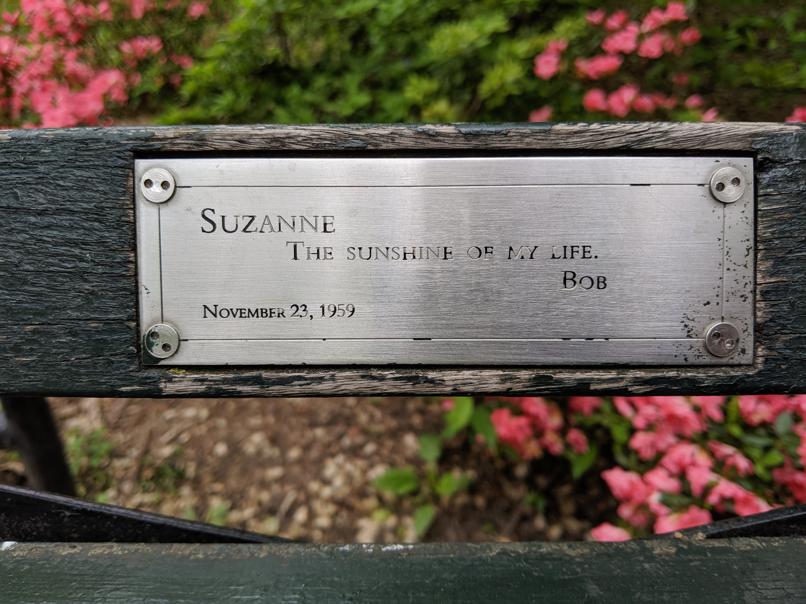 I saw this bench in Central Park