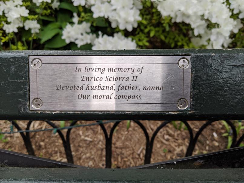 I saw this bench in Central Park