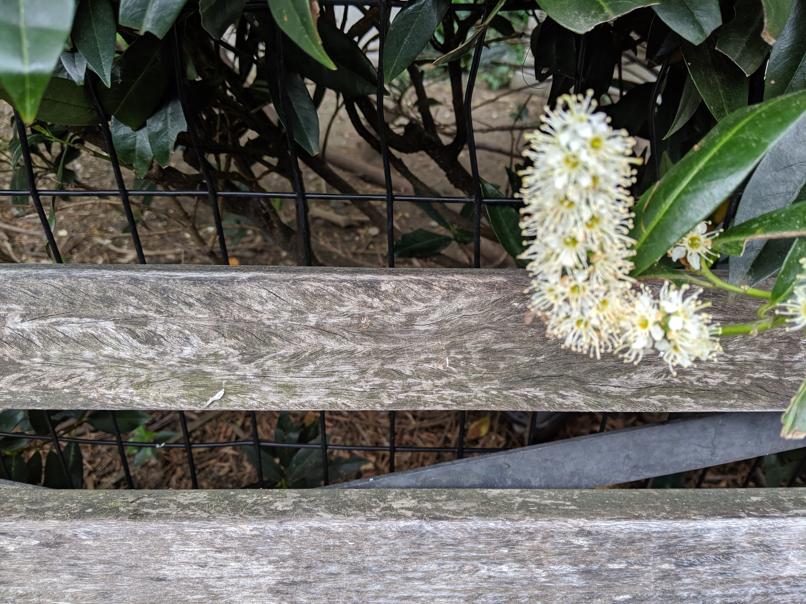 I saw this bench in Central Park