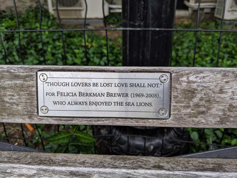 I saw this bench in Central Park