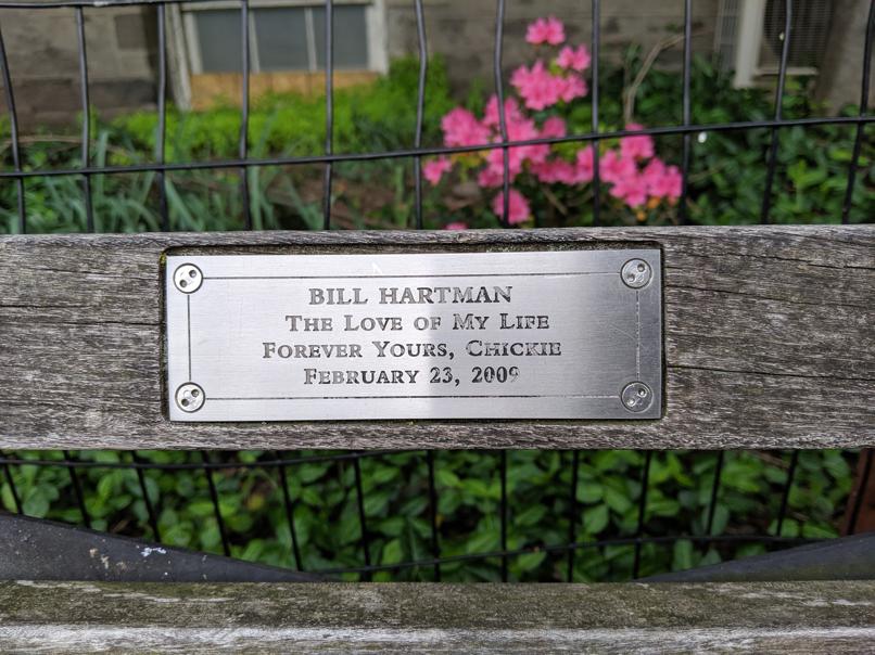 I saw this bench in Central Park