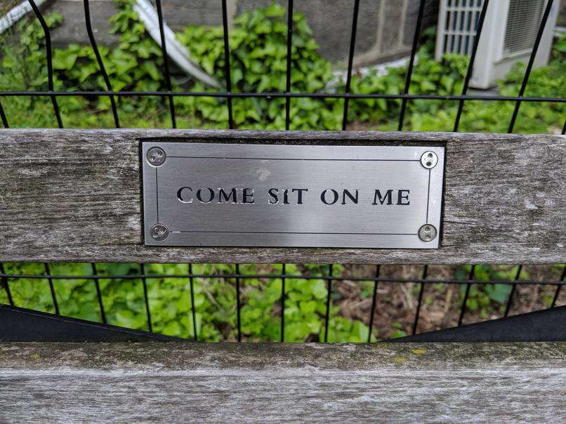 I saw this bench in Central Park