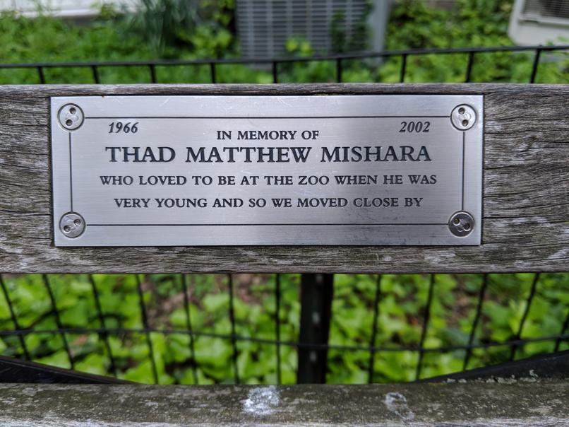 I saw this bench in Central Park