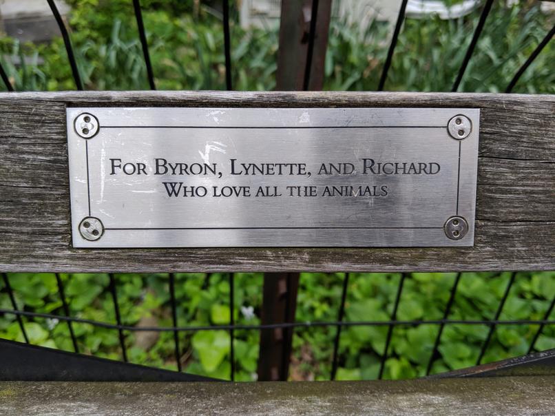 I saw this bench in Central Park