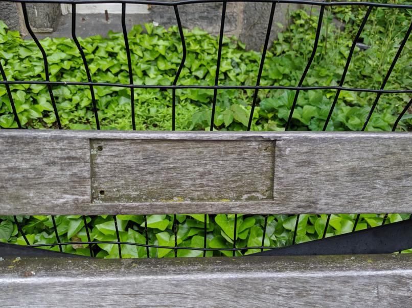 I saw this bench in Central Park