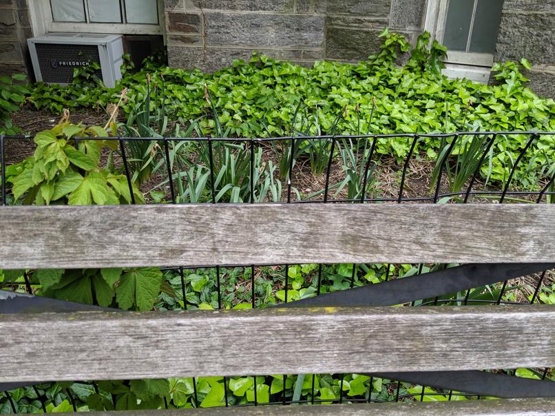 I saw this bench in Central Park