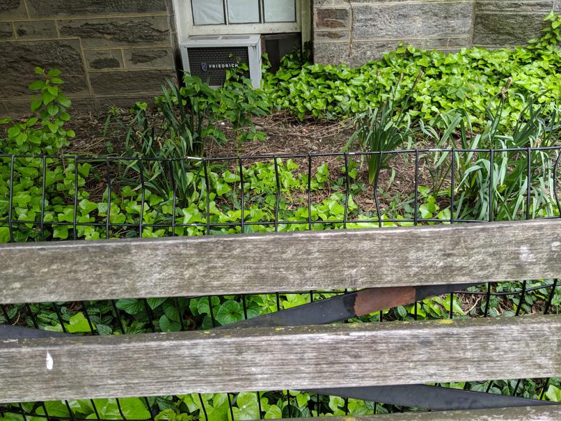 I saw this bench in Central Park