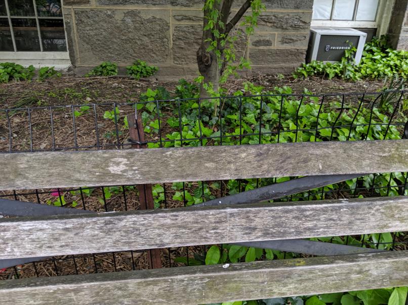 I saw this bench in Central Park