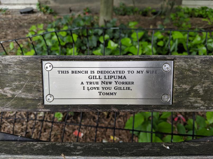 I saw this bench in Central Park