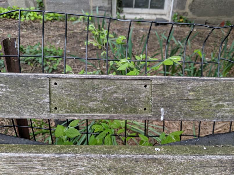 I saw this bench in Central Park