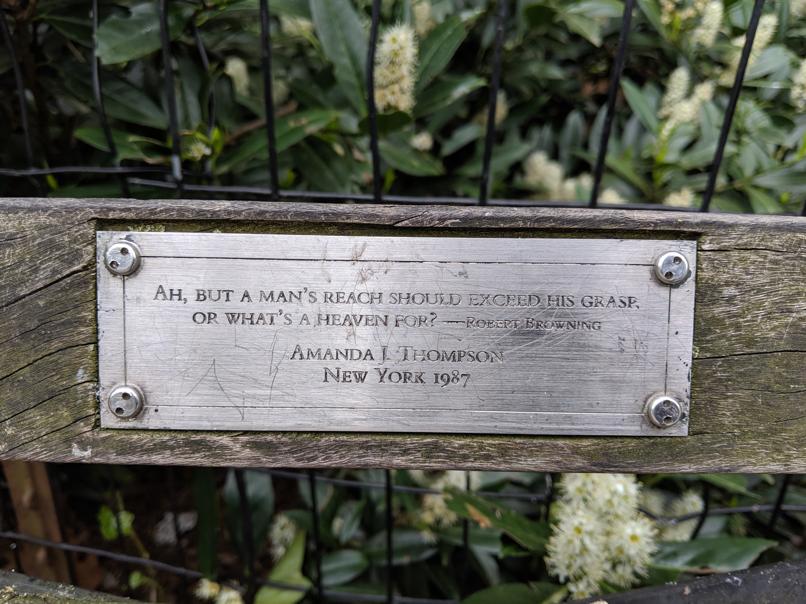 I saw this bench in Central Park