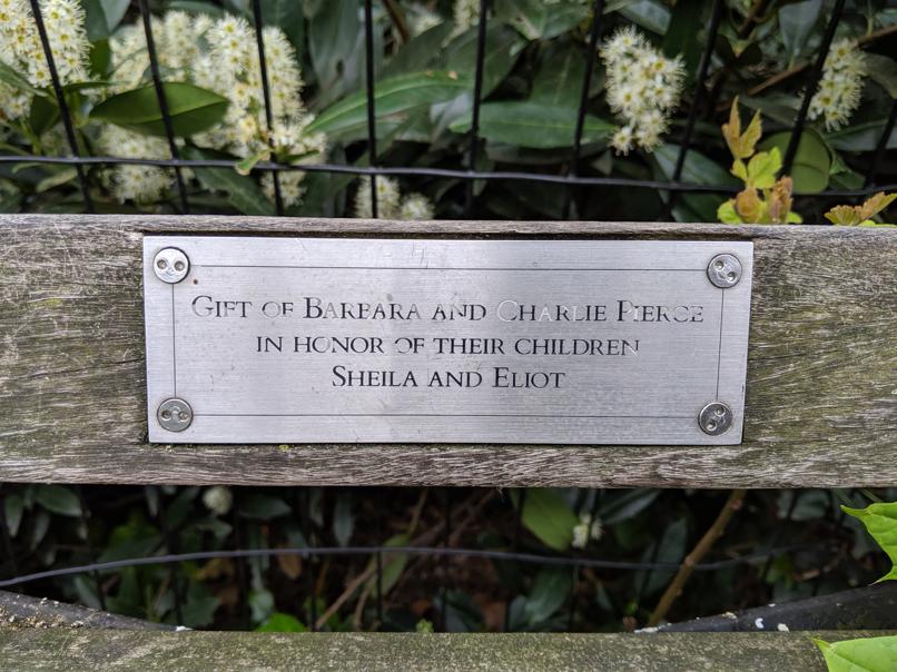 I saw this bench in Central Park