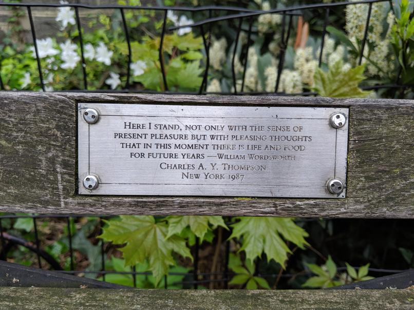 I saw this bench in Central Park