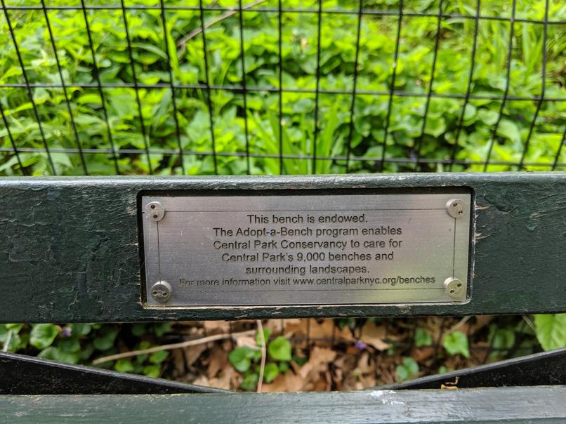 I saw this bench in Central Park