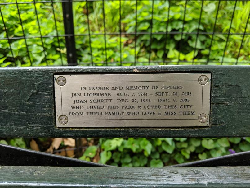 I saw this bench in Central Park