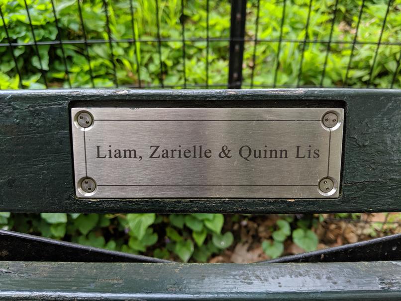 I saw this bench in Central Park